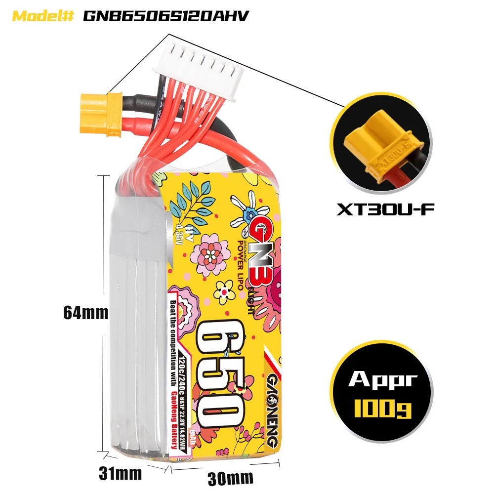 GAONENG 6S 650mAh LiHV 22.8V 1 - Drone Battery 6S 리뷰 및 가격