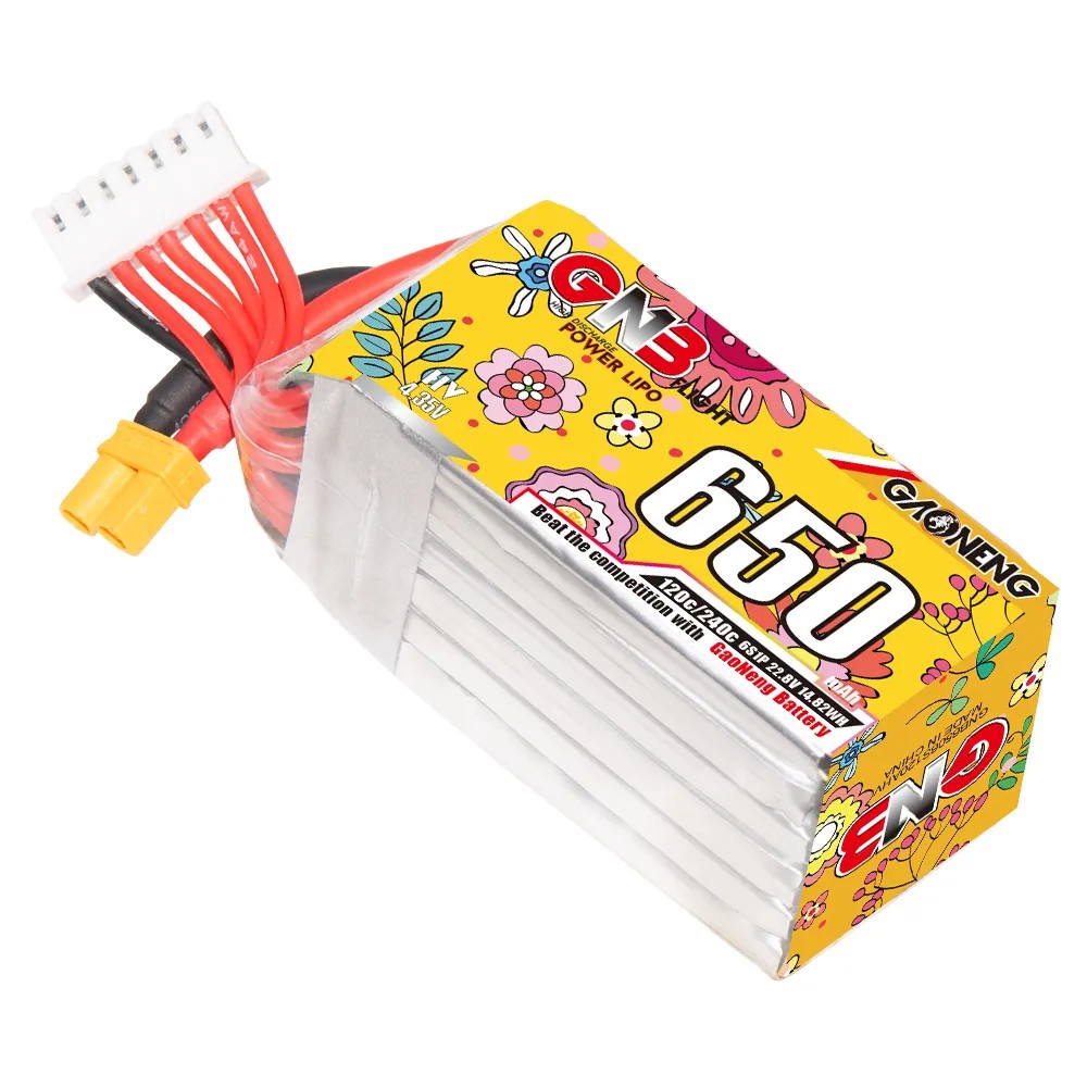 GAONENG 6S 650mAh LiHV 22.8V 1 - Drone Battery 6S 리뷰 및 가격
