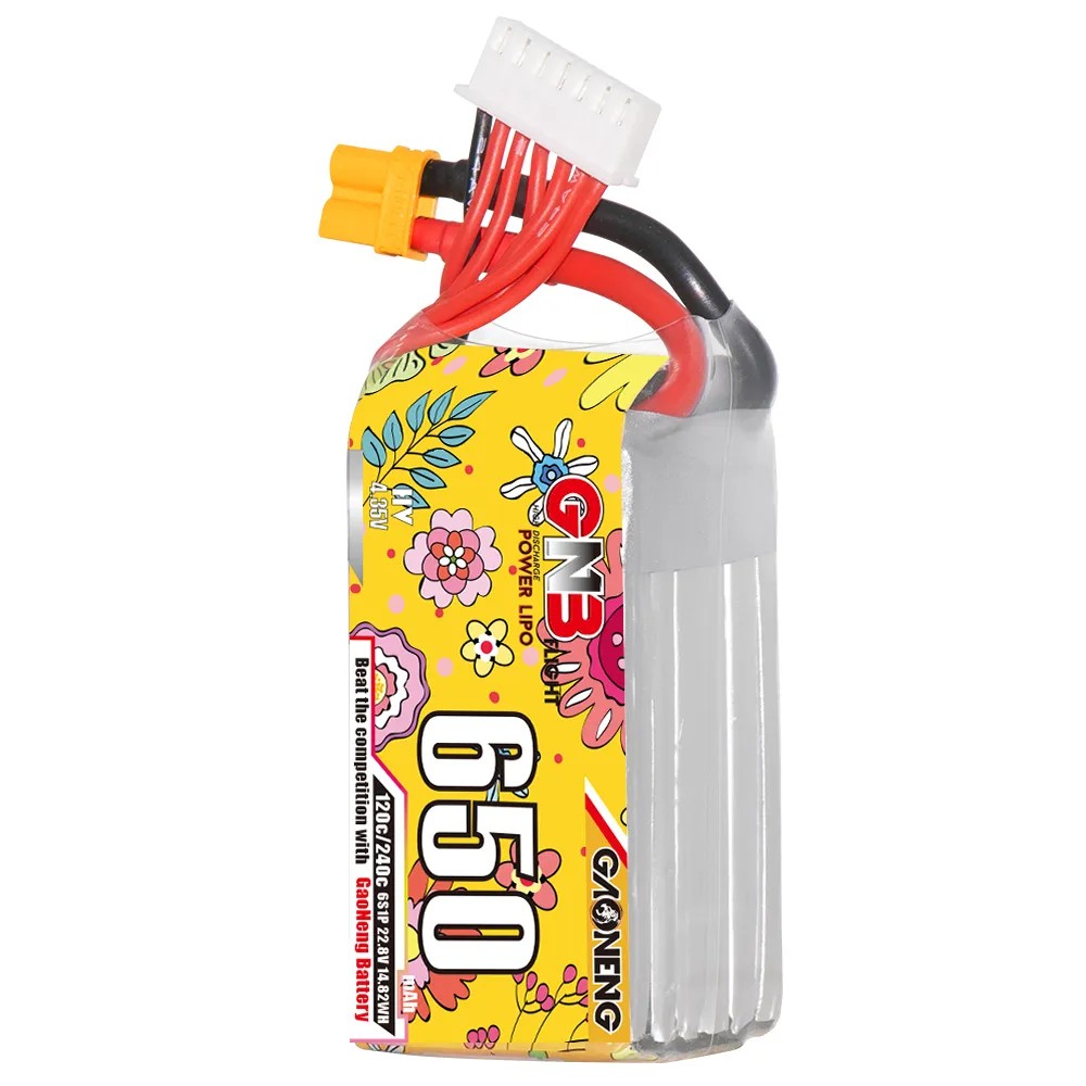 GAONENG 6S 650mAh LiHV 22.8V 1 - Drone Battery 6S 리뷰 및 가격